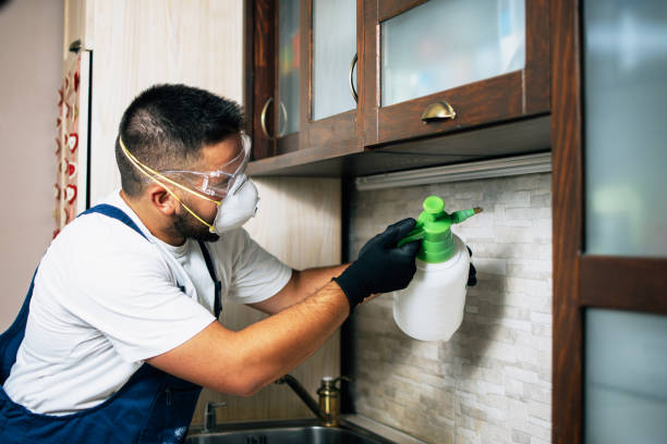 Reliable Englewood, NJ Pest Control Solutions