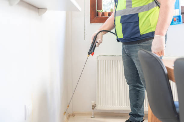 Best Flea Control Services  in Englewood, NJ
